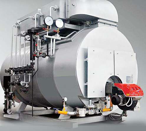 燃气锅炉专业制造厂家 燃气锅炉厂家-开云手机官方版页面登录入口-开云(中国)